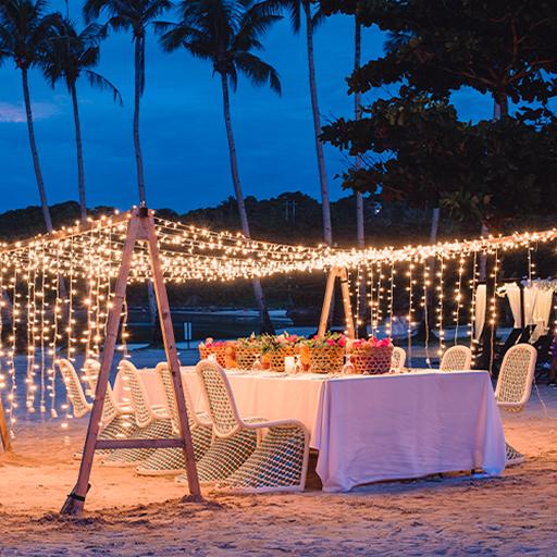 Dine Under the Stars 